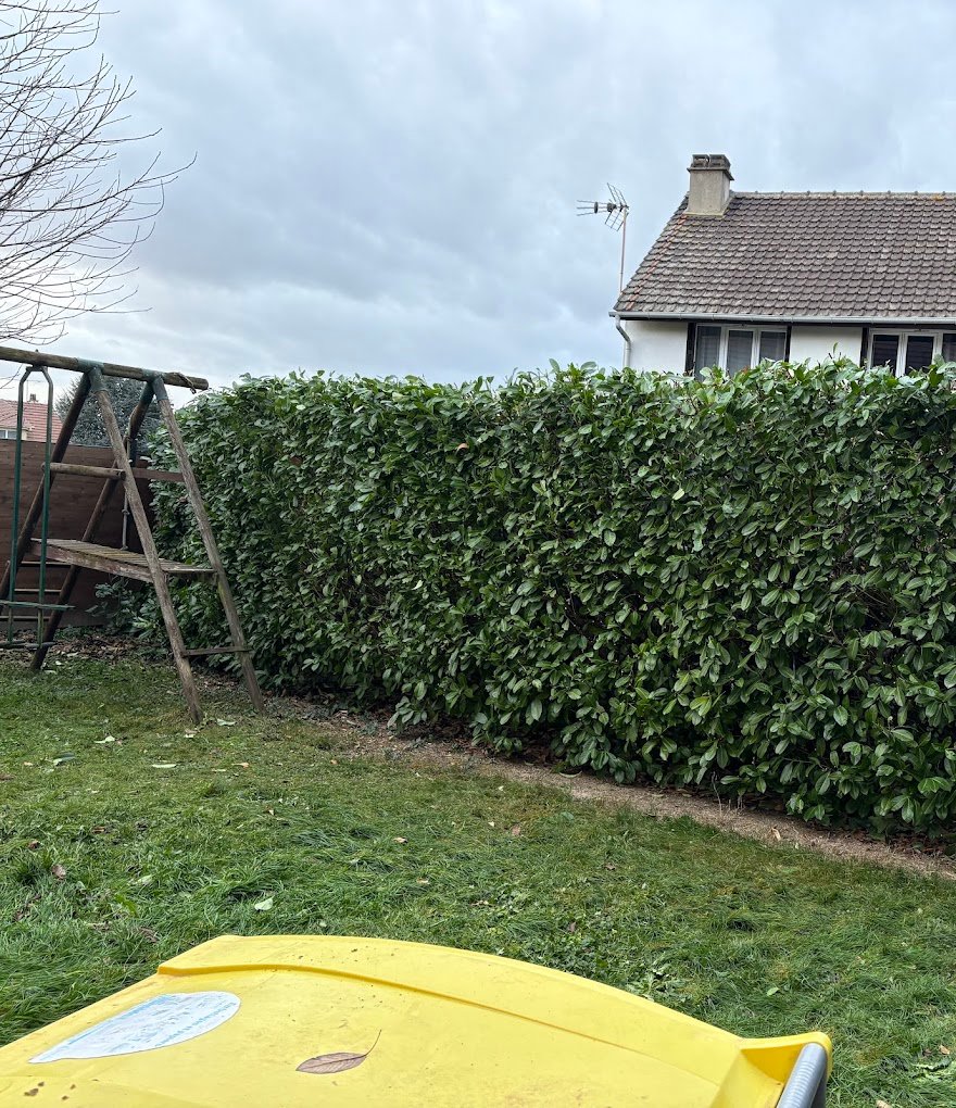 Taille de haies - Photo 3