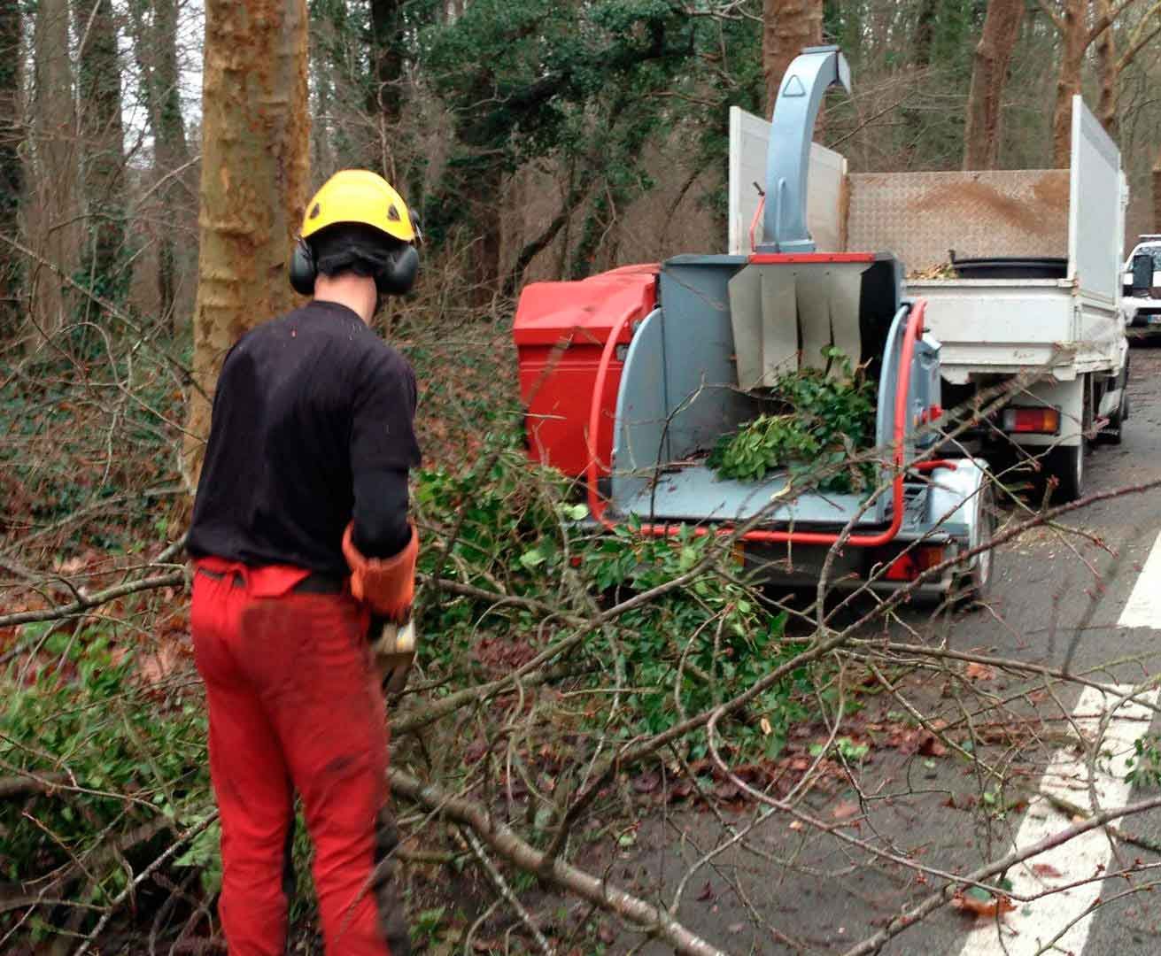 Évacuation et broyage des végétaux